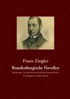 bokomslag Brandenburgische Novellen