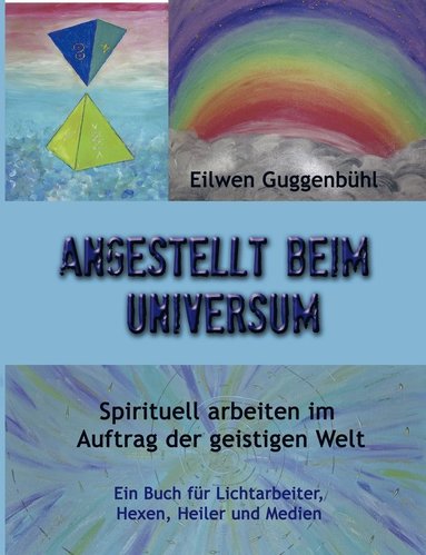 bokomslag Angestellt beim Universum