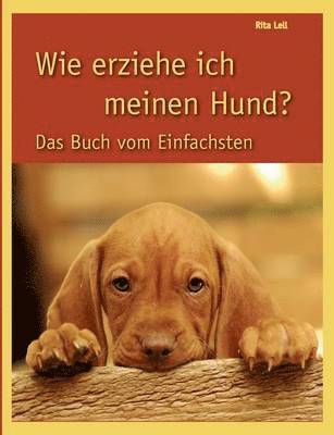 bokomslag Wie erziehe ich meinen Hund