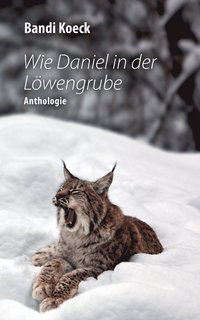bokomslag Wie Daniel in der Löwengrube