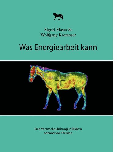 Sigrid Mayer, Wolfgang Kromoser - Was Energiearbeit kann, Häftad