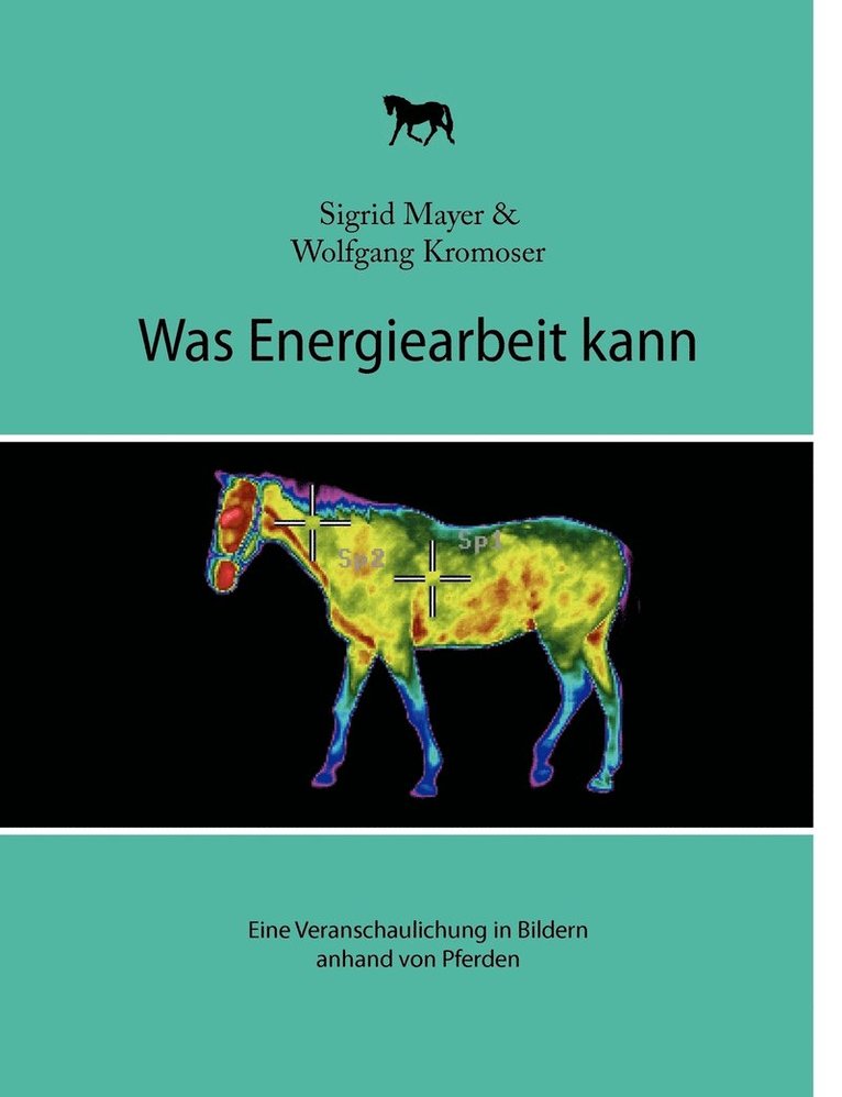 Sigrid Mayer, Wolfgang Kromoser - Was Energiearbeit kann, Häftad