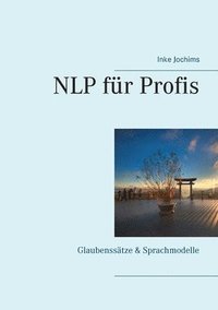 bokomslag NLP fr Profis