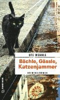 bokomslag Bächle, Gässle, Katzenjammer
