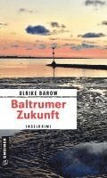 bokomslag Baltrumer Zukunft