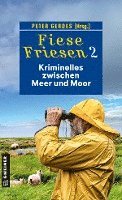 bokomslag Fiese Friesen 2 - Kriminelles zwischen Meer und Moor
