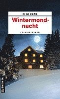 Wintermondnacht 1