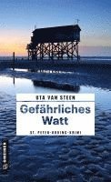 bokomslag Gefährliches Watt