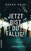 bokomslag Jetzt bist du fällig!