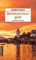 bokomslag Salzkammerglut