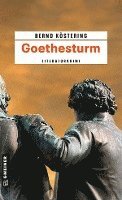 bokomslag Goethesturm