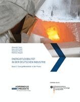 Alexander Sauer, Hans Ulrich Buhl, Alexander Mitsos, Matthias Weigold, Stuttgart Fraunhofer IPA - Energieflexibilität in der deutschen Industrie, Inbunden