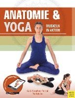bokomslag Anatomie & Yoga