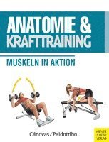 bokomslag Anatomie & Krafttraining