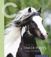 bokomslag Tinker Ponys