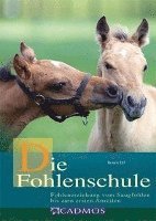 bokomslag Die Fohlenschule