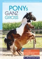 Ponys ganz groß 1