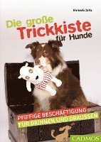 bokomslag Die große Trickkiste für Hunde