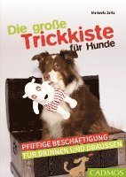 Manuela Zaitz - Die große Trickkiste für Hunde, Häftad