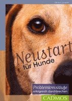 bokomslag Neustart für Hunde