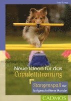 bokomslag Neue Ideen für das Cavalettitraining