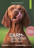 bokomslag Darmgesundheit beim Hund