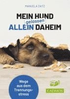 bokomslag Mein Hund gelassen allein daheim