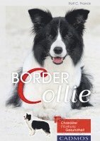 bokomslag Border Collie