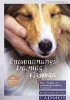 bokomslag Entspannungstraining für Hunde