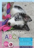 bokomslag Das Welpen-ABC Junge Hunde positiv fördern und erziehen