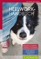 bokomslag Heelwork Handbuch