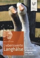 Liebenswerte Langhälse 1