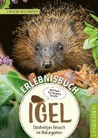 bokomslag Erlebnisbuch Igel