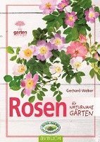 Rosen für naturnahe Gärten 1