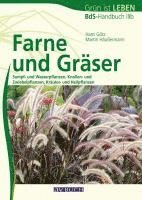 bokomslag Farne und Gräser