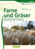 Farne und Gräser