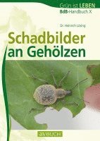 bokomslag Schadbilder an Gehölzen