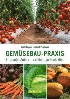 bokomslag Gemüsebau-Praxis