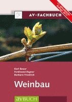 Weinbau 1