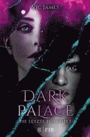 bokomslag Dark Palace 2 - Die letzte Tür tötet