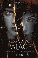 bokomslag Dark Palace - Für wen wirst du kämpfen?