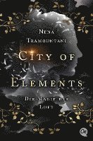 bokomslag City of Elements 3. Die Magie der Luft