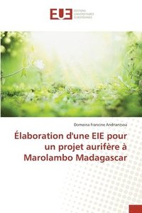 bokomslag laboration d'une EIE pour un projet aurifre  Marolambo Madagascar