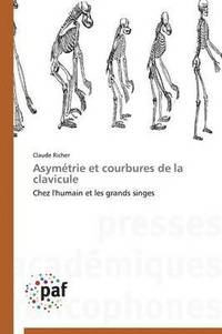 bokomslag Asymetrie Et Courbures de la Clavicule
