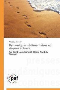 bokomslag Dynamiques Sdimentaires Et Risques Actuels