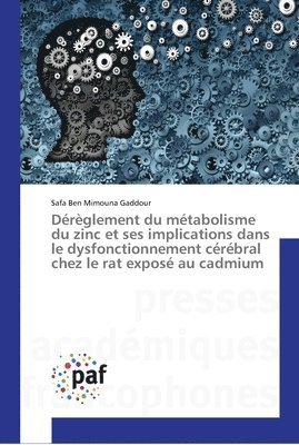 Dereglement du metabolisme du zinc et ses implications dans le dysfonctionnement cerebral chez le rat expose au cadmium 1