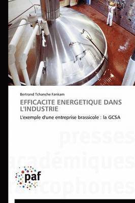 Bertrand Tchanche Fankam - Efficacité Energétique Dans L'industrie, Häftad