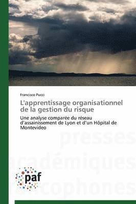 bokomslag L'Apprentissage Organisationnel de la Gestion Du Risque