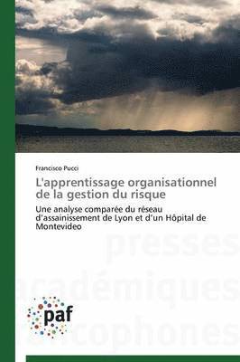 Pucci-F, PUCCI-F, Francisco Pucci - L'Apprentissage Organisationnel de la Gestion Du Risque, Häftad