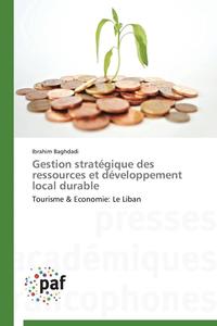 bokomslag Gestion Stratgique Des Ressources Et Dveloppement Local Durable